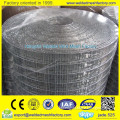 galvanized welded wire mesh, low carbon welded wire mesh